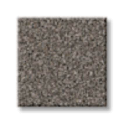 Shaw Hudson River Thunder Texture Carpet with Pet Perfect Plus-Sample
